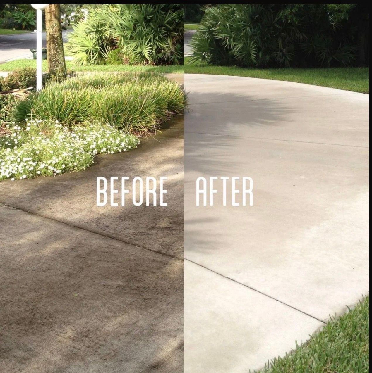 Power washing & Soft Washing